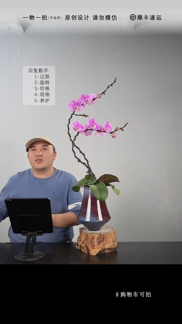 【闪购商品】【一物一拍】艺术盆景