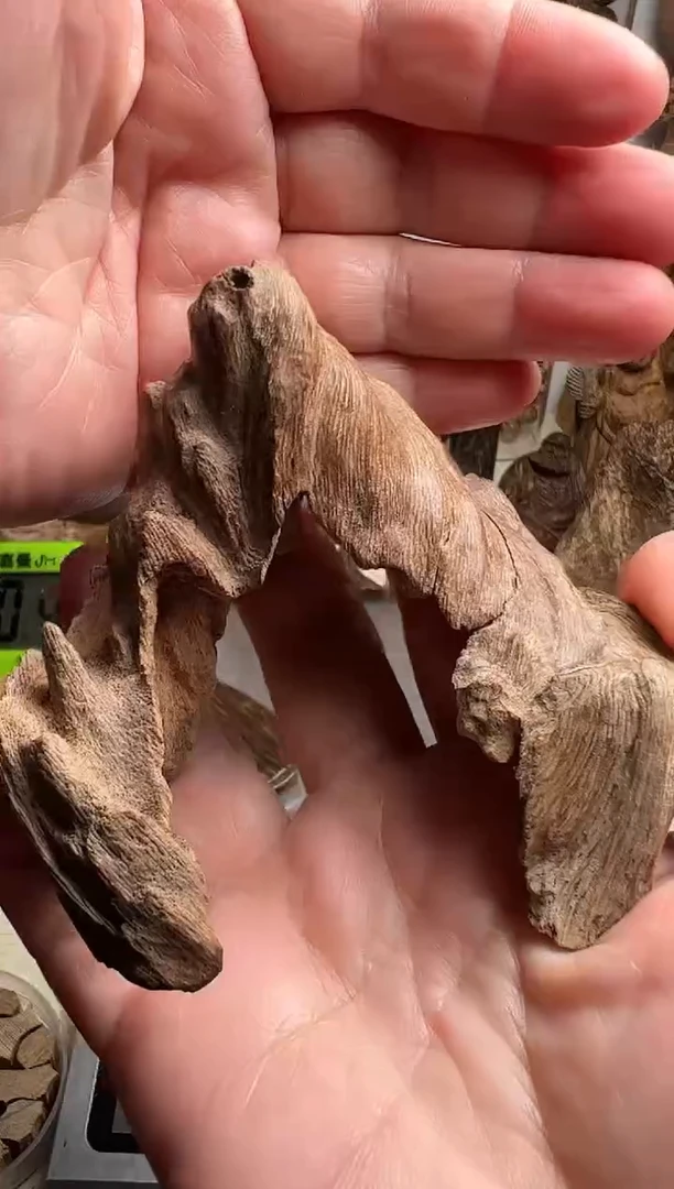 沉香沉香碎屑老挝沉香土沉21克