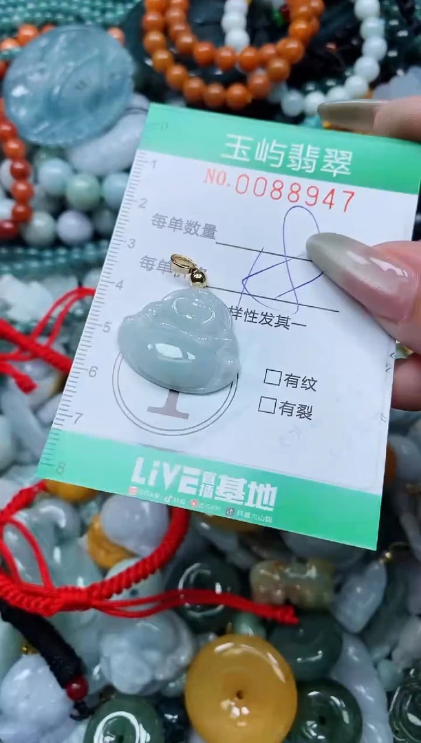 【闪购商品】翡翠颈饰未镶嵌闪购0088947