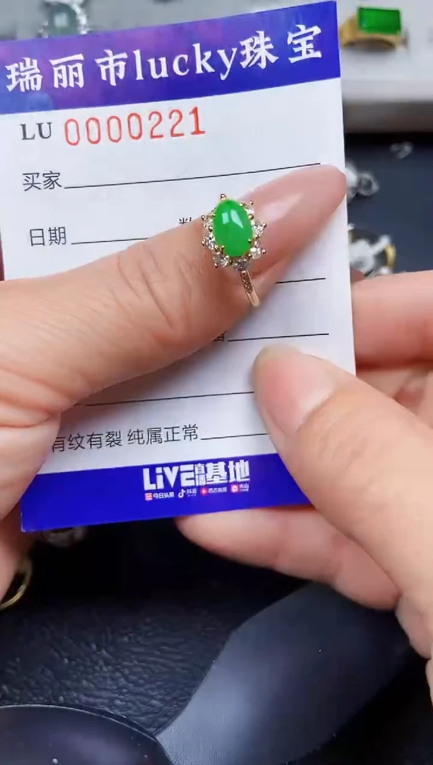 翡翠银S925镶嵌颈饰0221