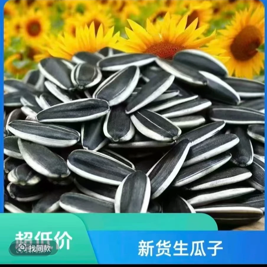 （买一斤送一斤 生瓜子）D大花皮品种生瓜子新货现发追剧年货果品