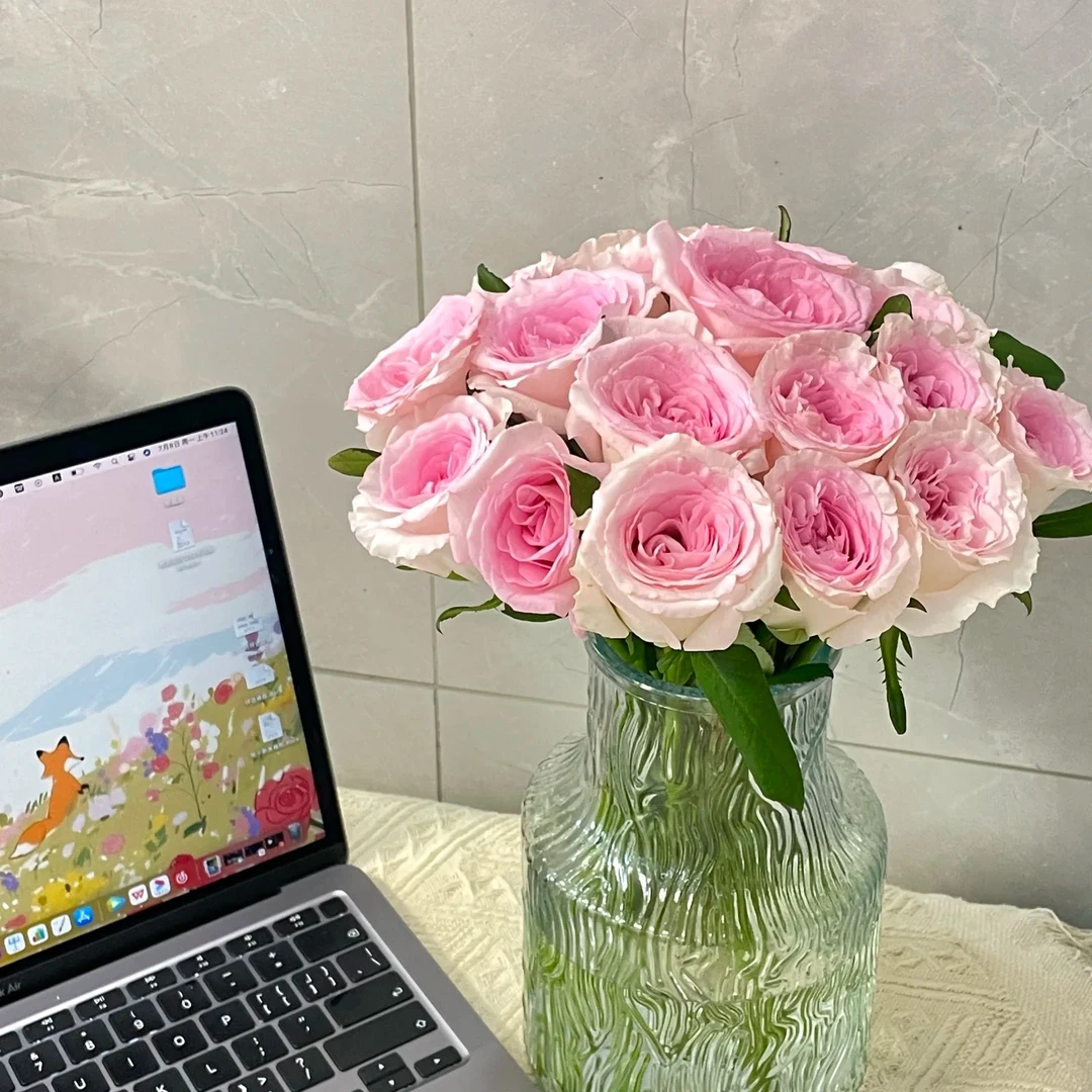 【洛神】烫头玫瑰单头大花头开爆开炸 云南基地直发办公室 居家插花