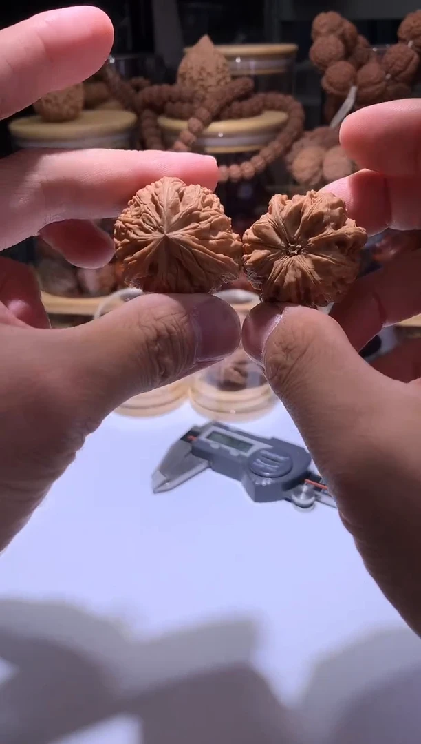手串金刚菩提760