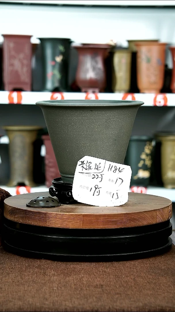 紫砂花盆花卉园艺1184+S
