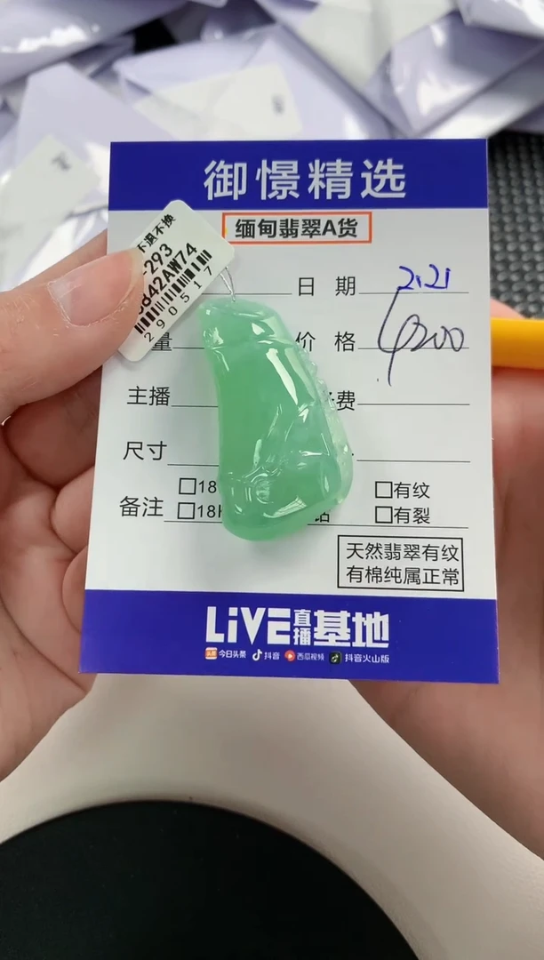 【闪购商品】翡翠颈饰未镶嵌63