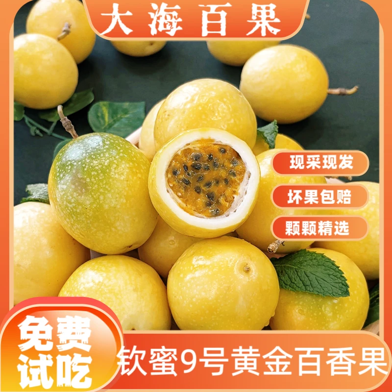 *广西原产地直发钦蜜9号百香果新鲜香甜多汁当季水果产地直发