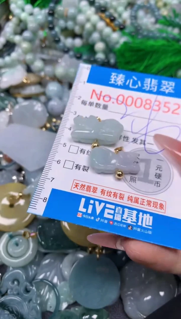【闪购商品】翡翠颈饰未镶嵌含绳0008352