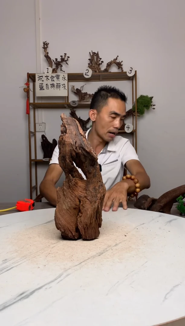 记**活鱼缸造景沉木摆件