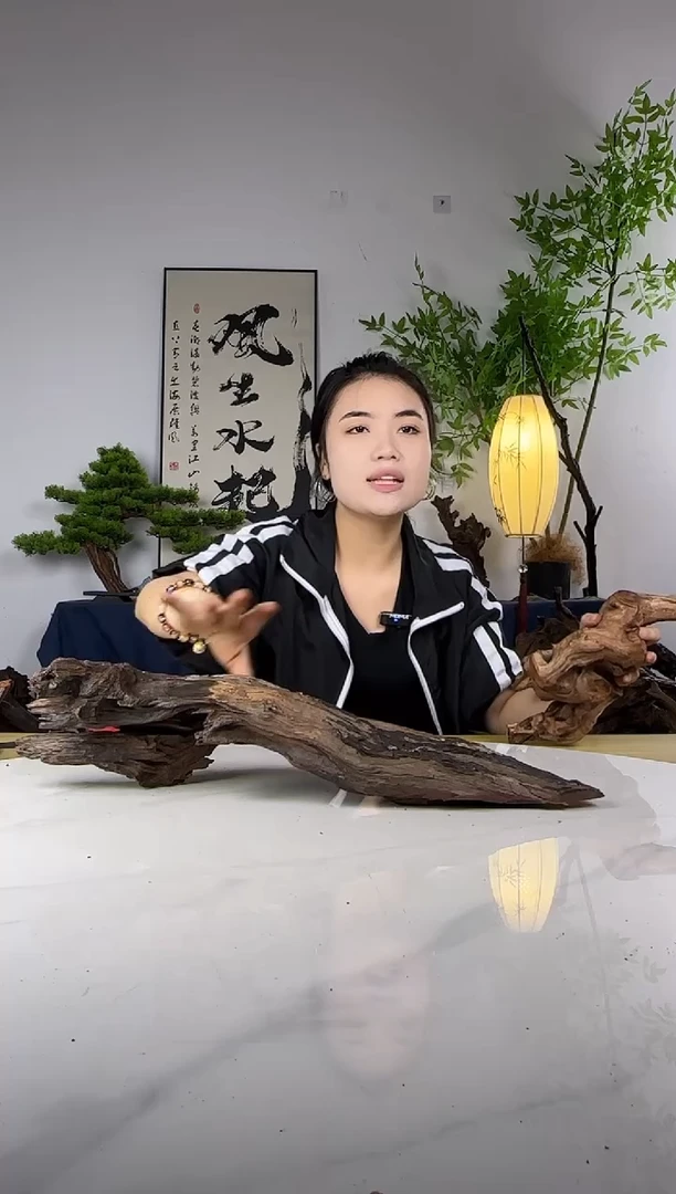 提***山拍这个定向编号36