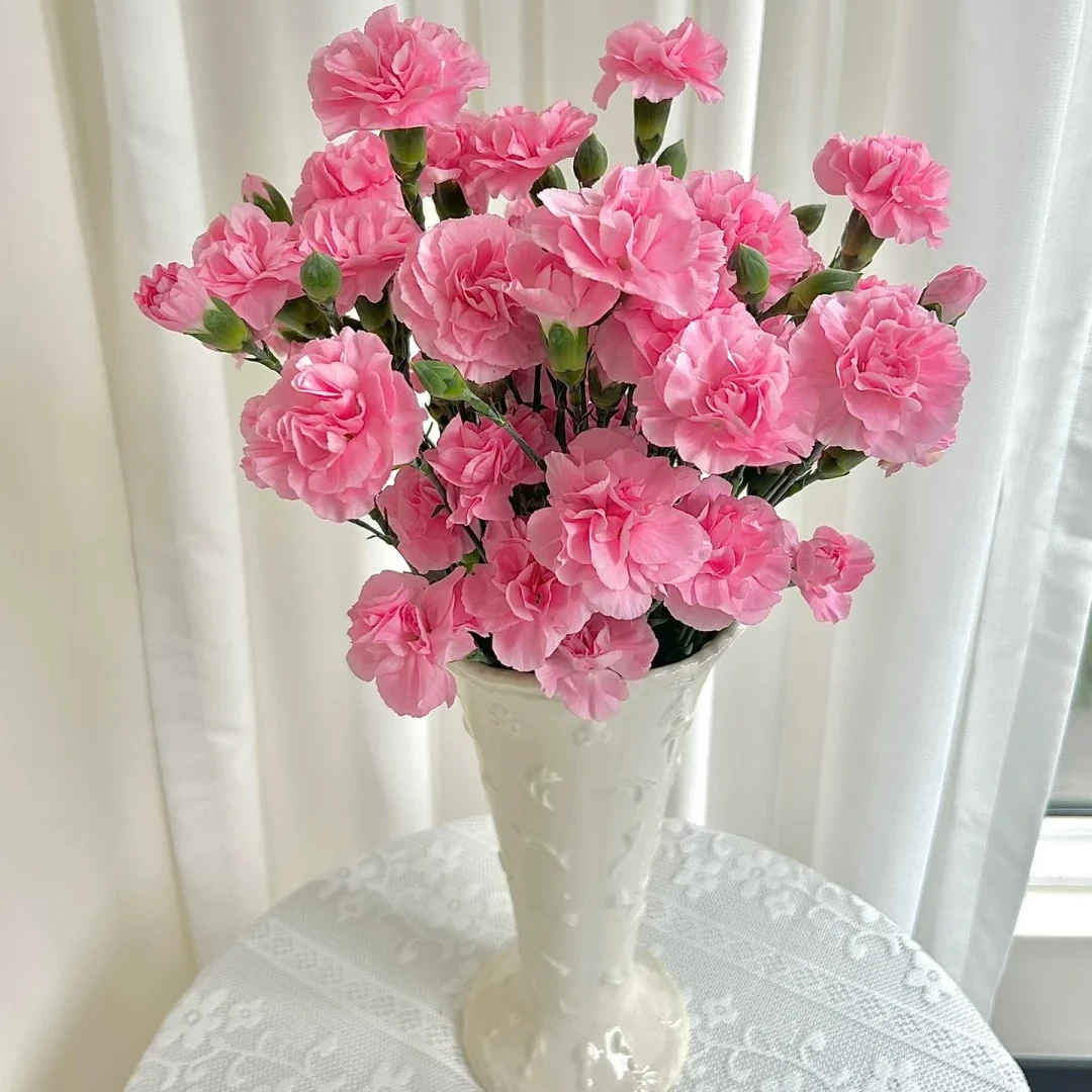 冬日花福十花边新闻-多头康10枝