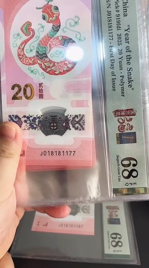 【闪购商品】塑料蛇钞单张018181177PMG68分