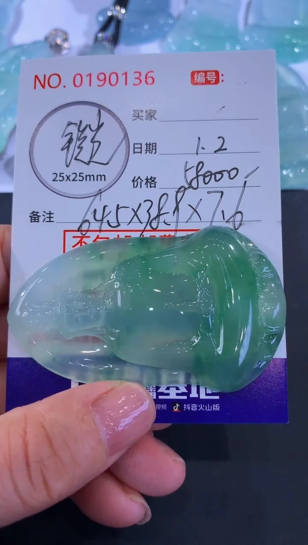 颈饰未镶嵌翡翠科*！