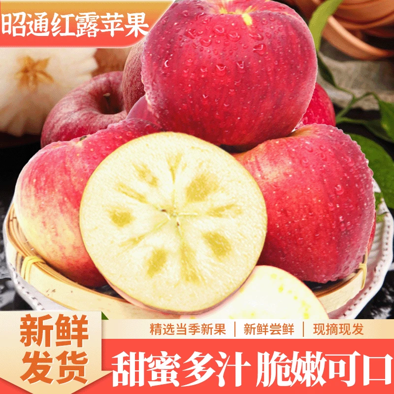 【达人专属】昭通红露苹果5/10斤装新鲜当季水果现摘现发脆甜多汁