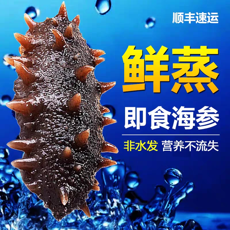 【鲜蒸工艺】买10根送10根鲜蒸即食海参大连刺参 口感Q弹好吃有嚼劲