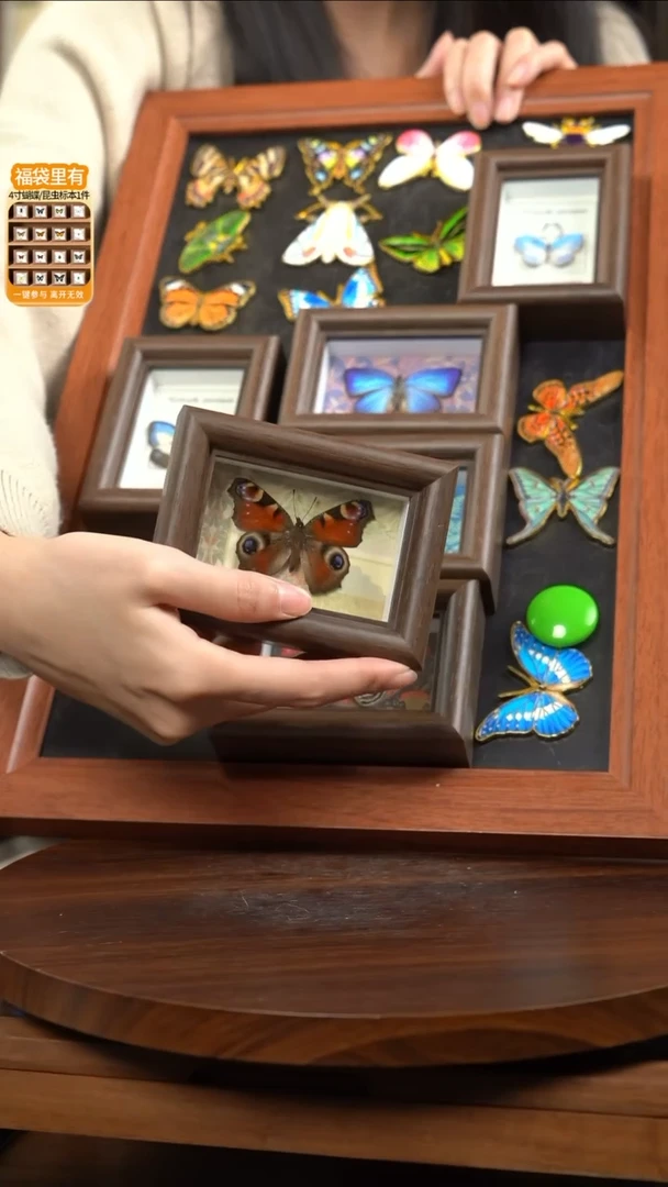 孔雀蛱蝶新款冰箱贴