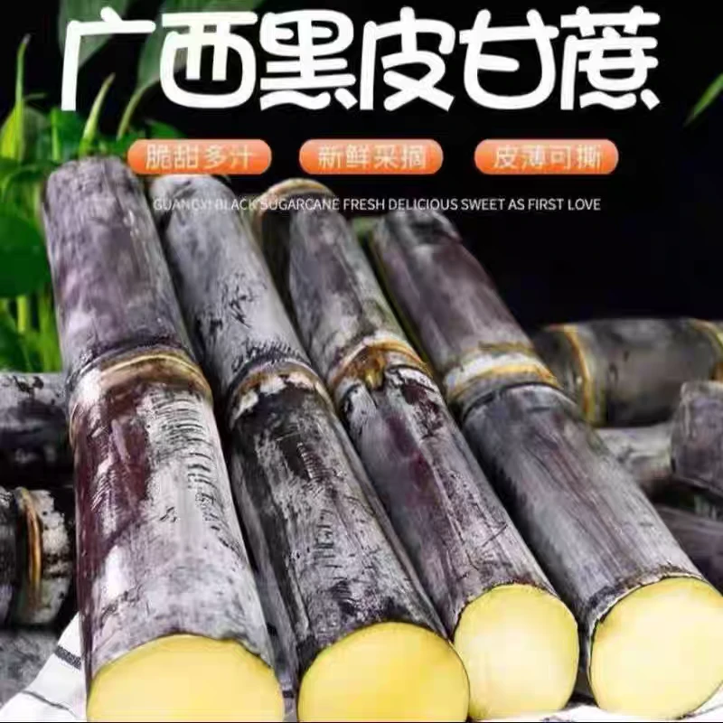 广西黑皮甘蔗5斤9斤水果甘蔗应季水果现砍现发脆甜多汁整箱包邮