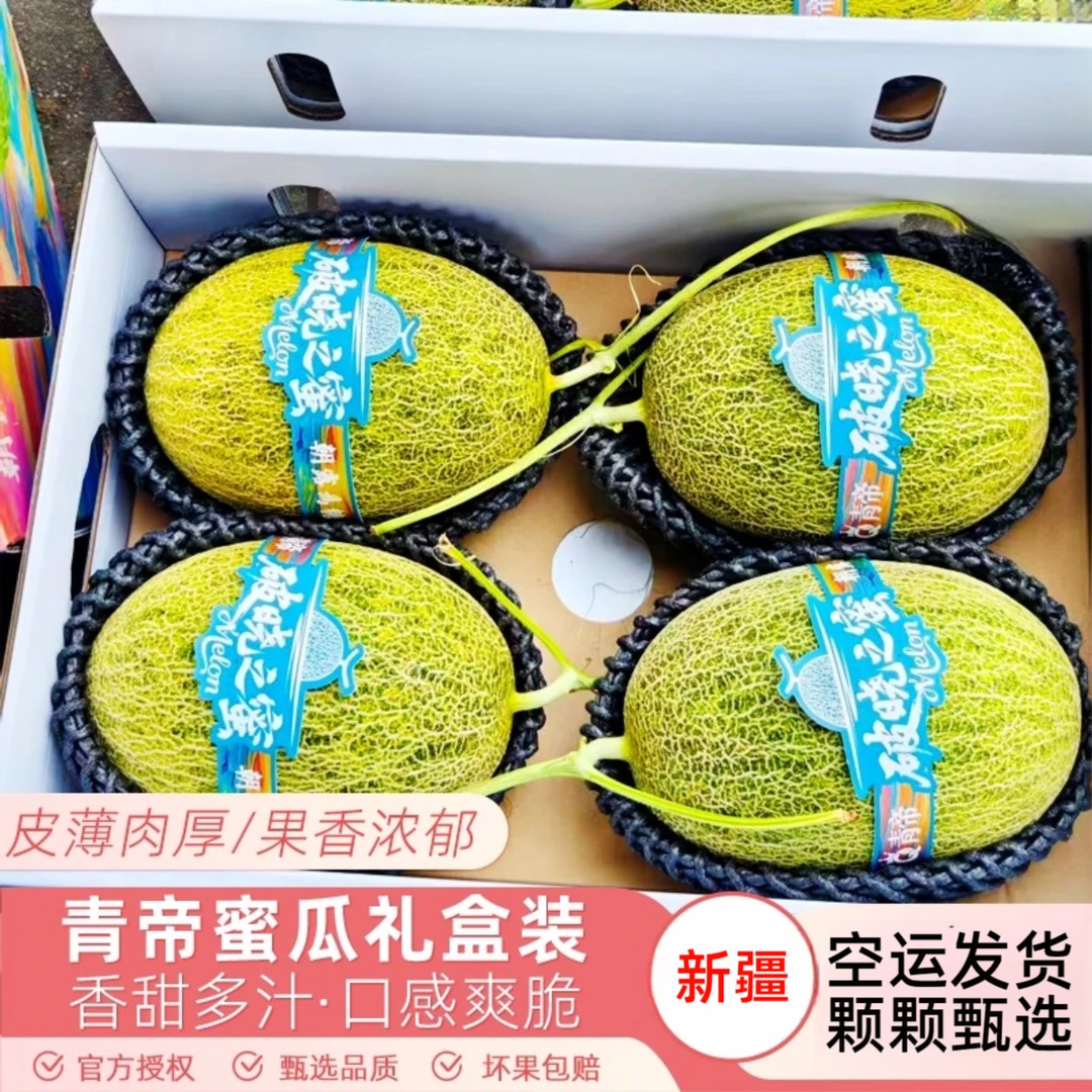 【空运发货】新疆青帝蜜瓜吐鲁番独家网纹瓜破晓之蜜香甜多汁2个起