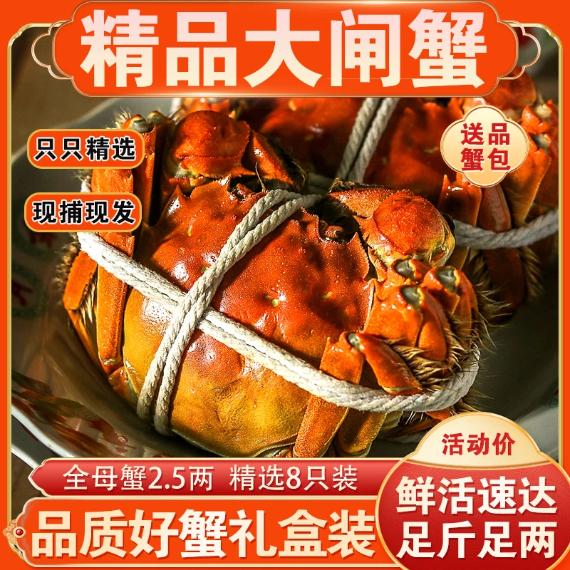 【活蟹】江苏精品蟹全母蟹2.6两-2.3两8只装【拍一发二】到手16只