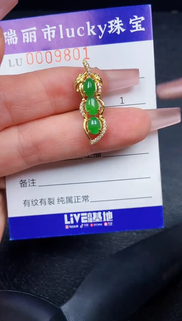 翡翠银S925镶嵌颈饰9801