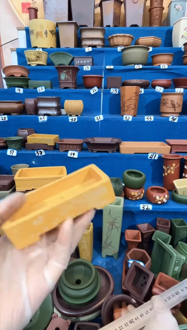 紫砂花盆9.5*4.5*1.5....