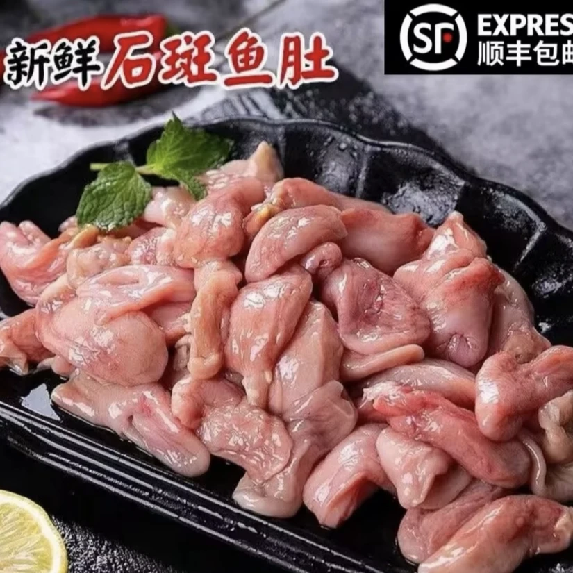 深海石斑鱼肚(顺丰冷链运输)