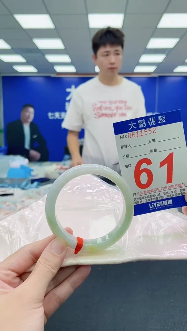 未镶嵌手镯翡翠AAAAAAAAA