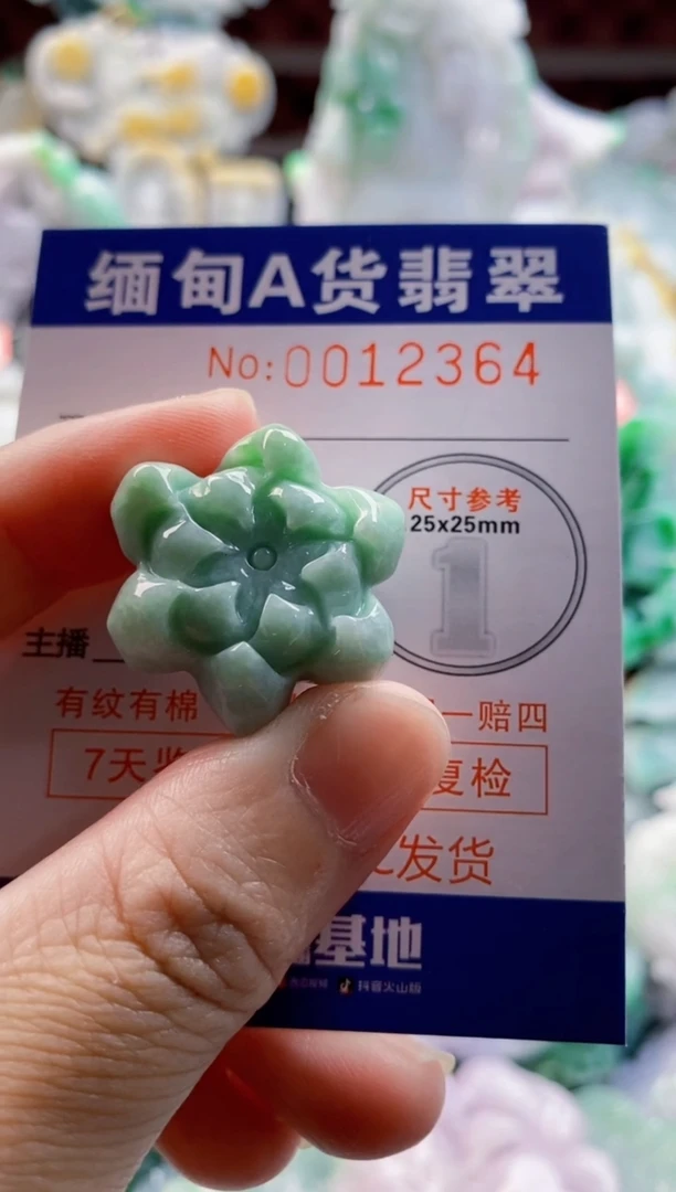 翡翠未镶嵌吊坠(不含链)1