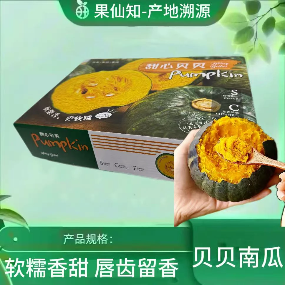 【沙地-贝贝南瓜-大果-带箱2.5斤左右】贝贝南瓜