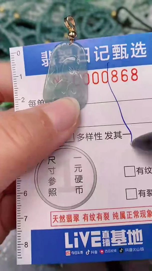 【闪购商品】翡翠颈饰未镶嵌00000868