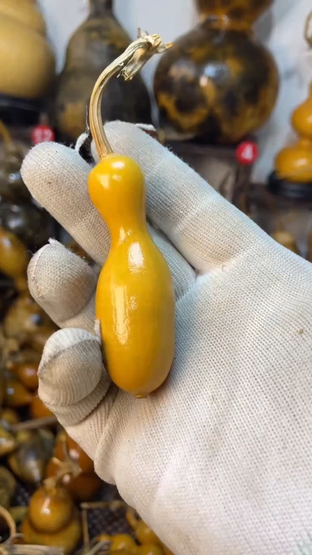 【闪购商品】葫芦葫芦葫芦葫芦葫芦葫芦葫芦
