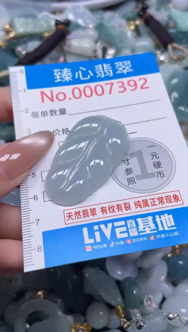 颈饰未镶嵌翡翠7392