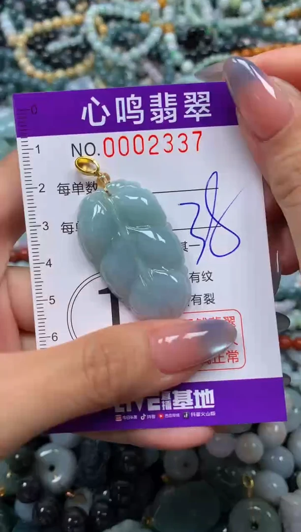 颈饰未镶嵌翡翠闪购002337