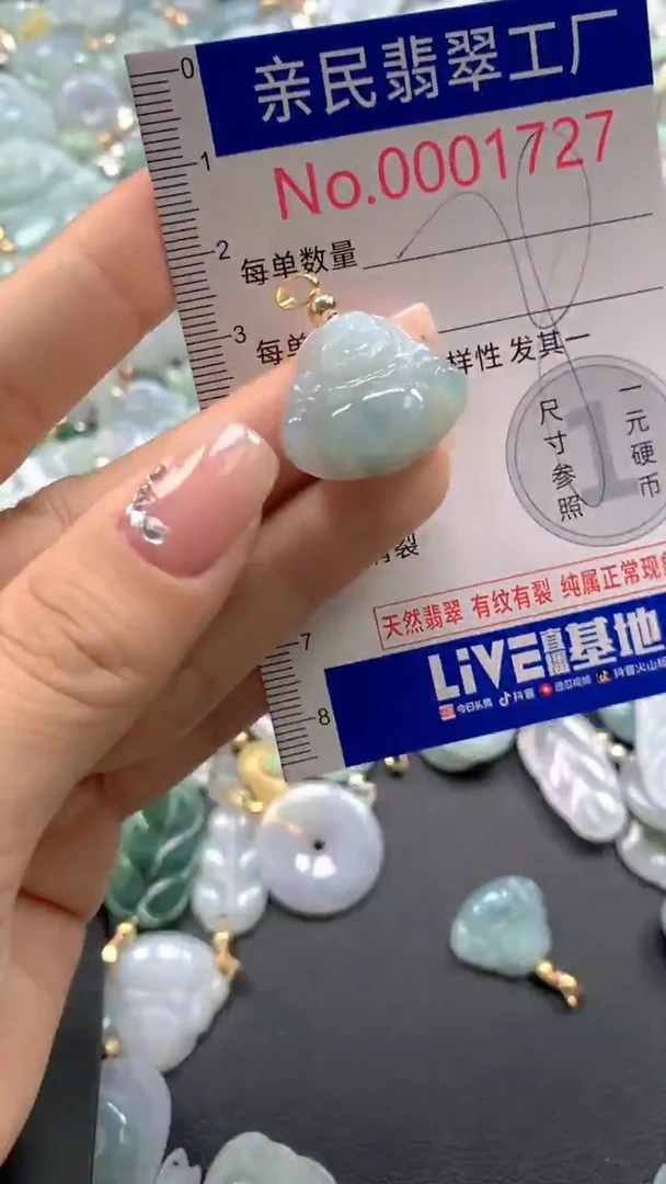 颈饰未镶嵌翡翠1727