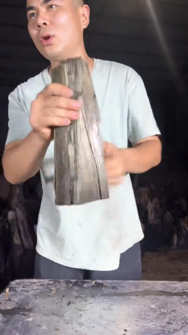 金丝楠3 金丝楠小叶桢楠