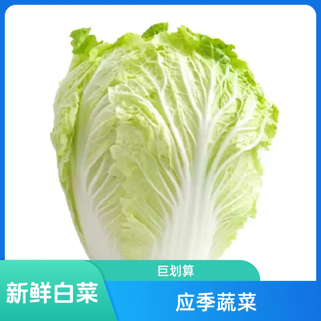 C现称新鲜大白菜1个4斤（多退少补）2.5元/金白菜