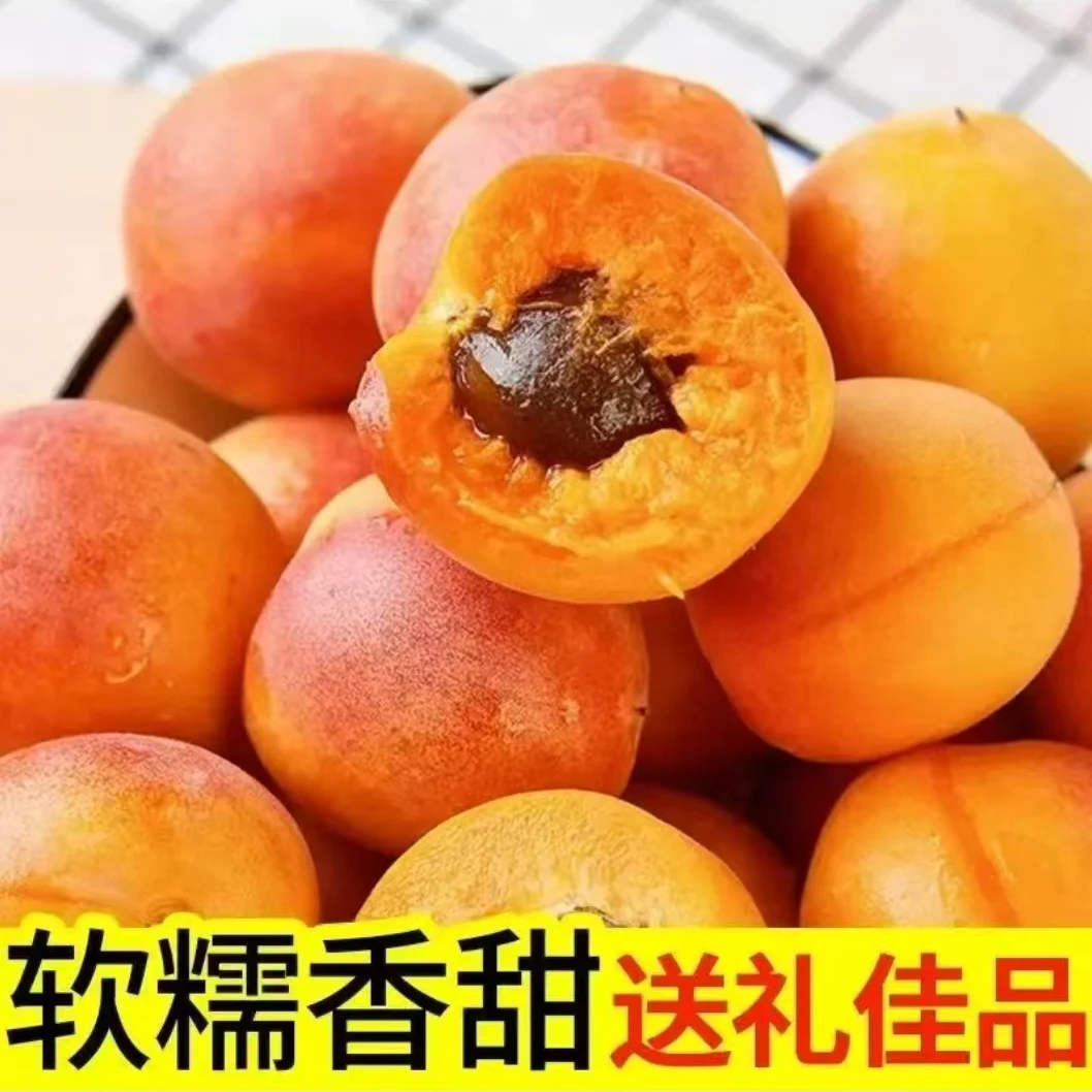 【明日到】头茬新疆吊干杏软糯甘甜3.5斤装新鲜水果现货直发新疆新疆维吾尔自治区