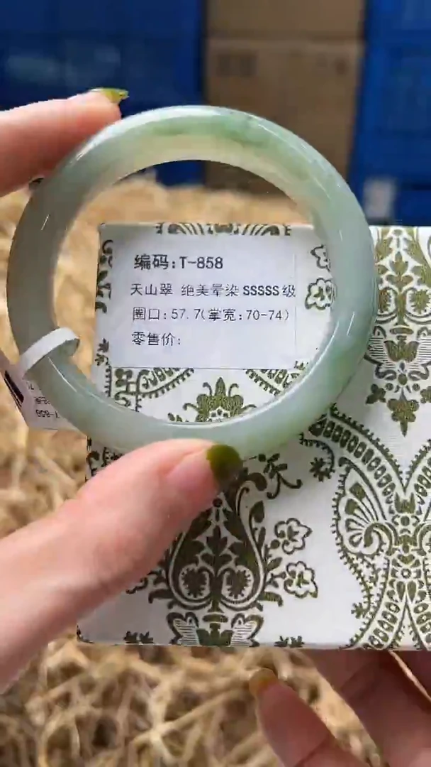 未镶嵌手镯石英质玉T858