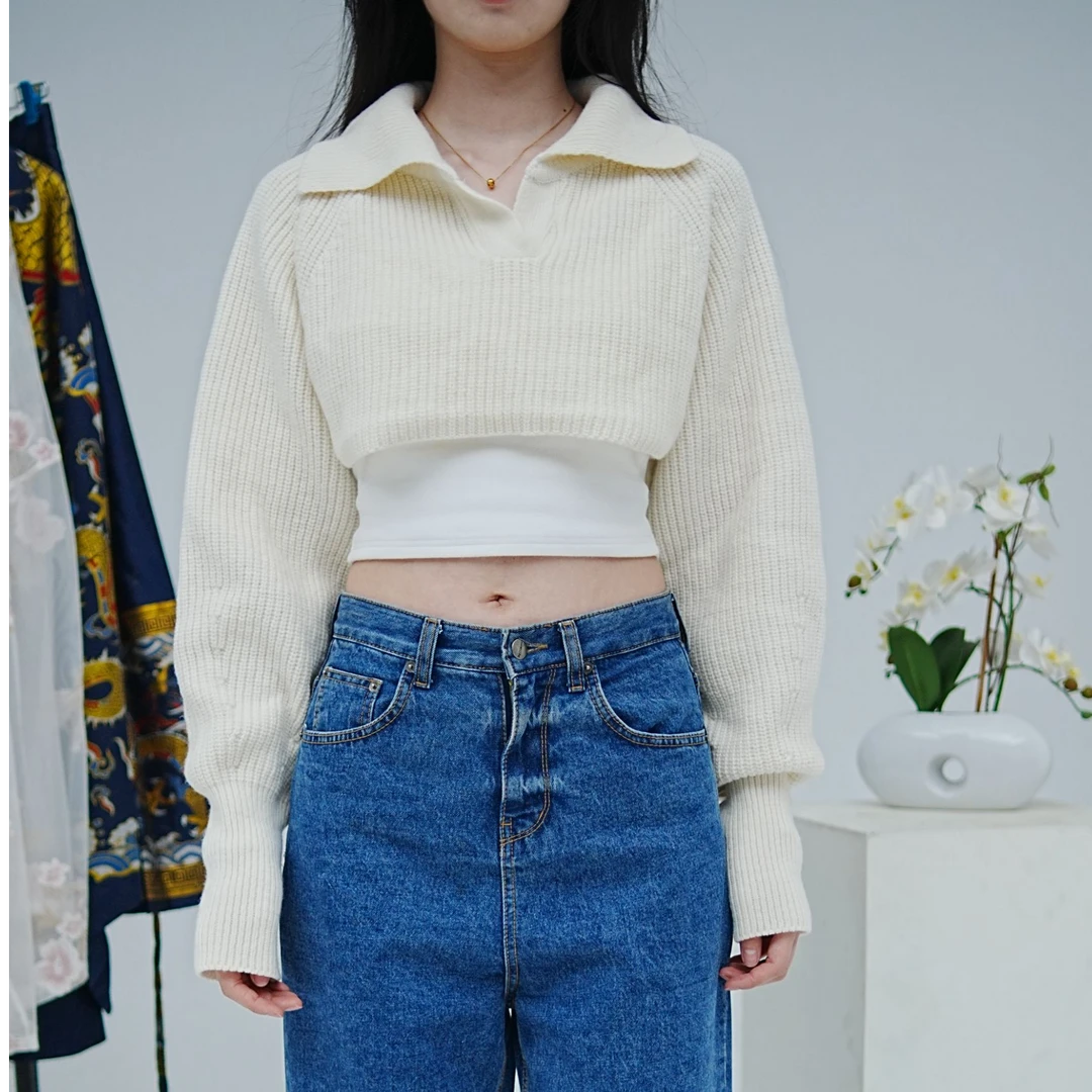 2025秋季新款短款长袖针织衫