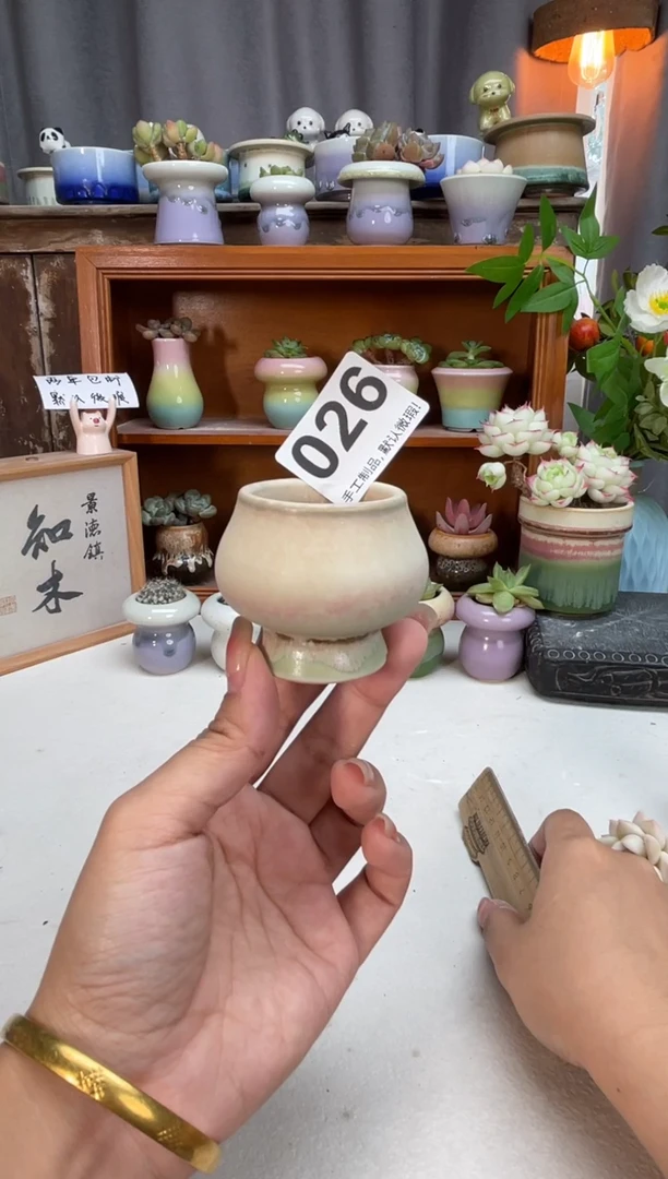 瓷片026知木小芳花盆