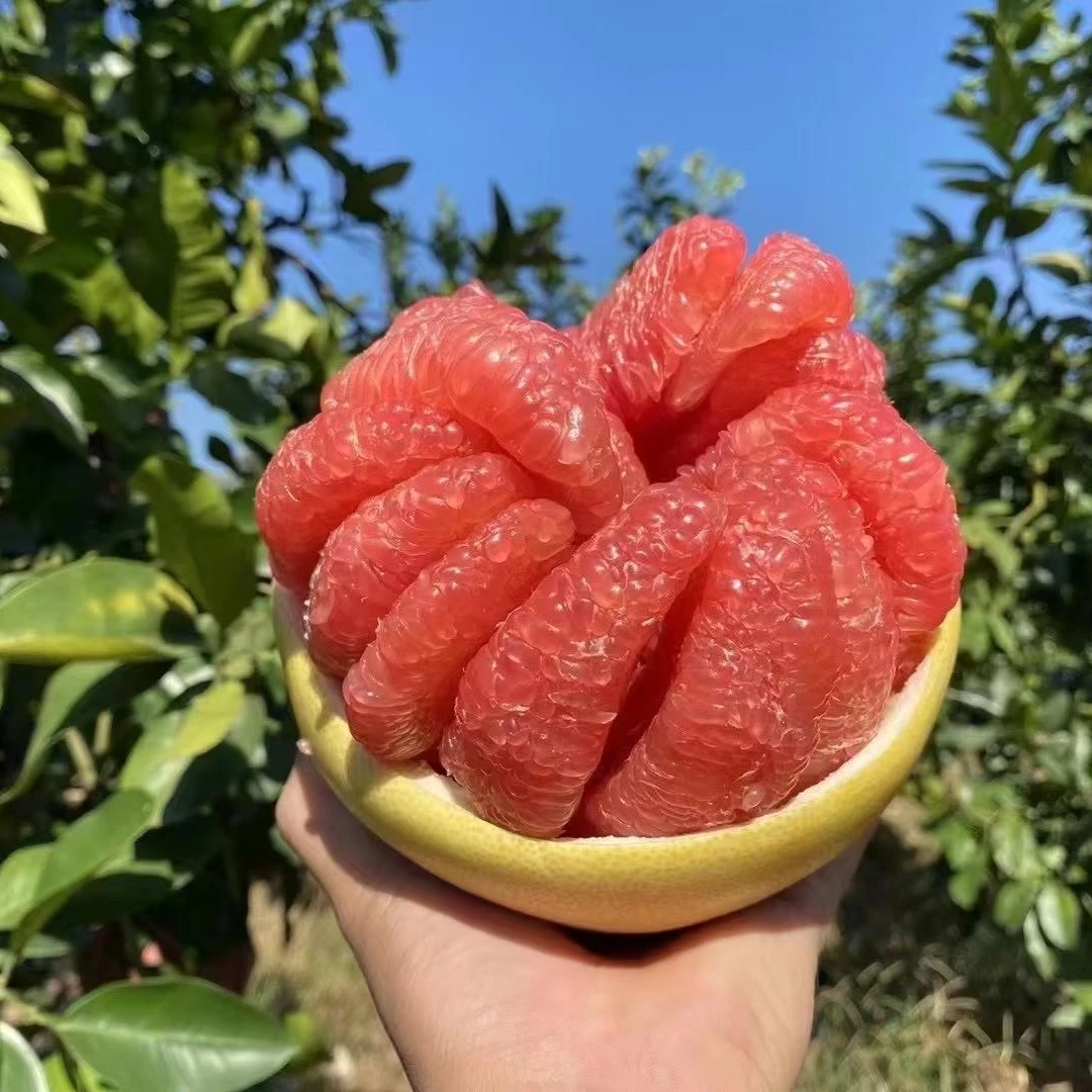 福建平和红心蜜柚品种新鲜应季水果皮薄肉厚清甜多汁多仓发货