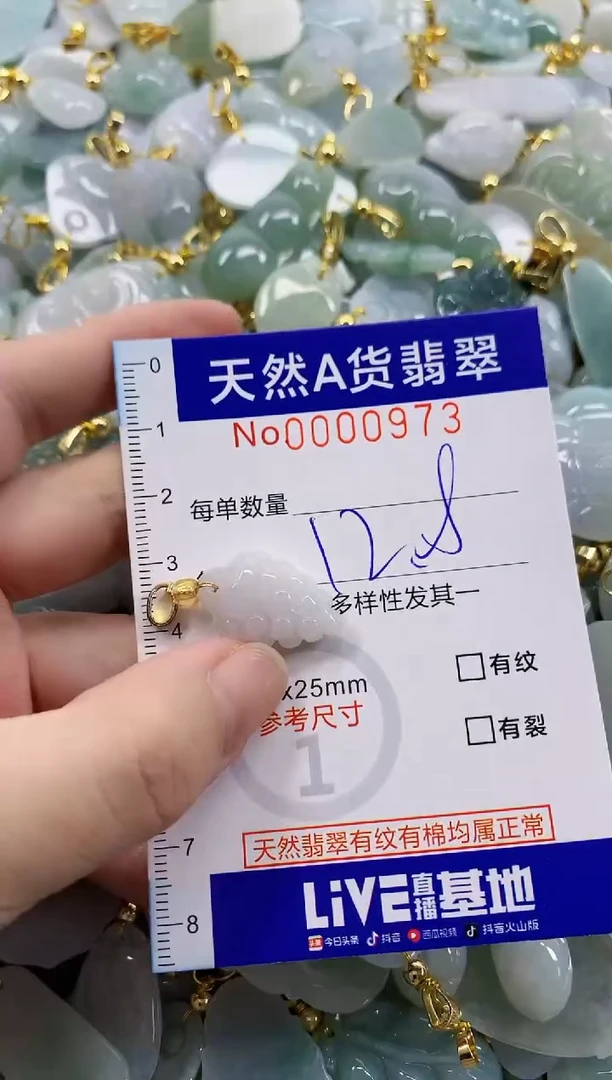 颈饰未镶嵌翡翠天然A货翡翠