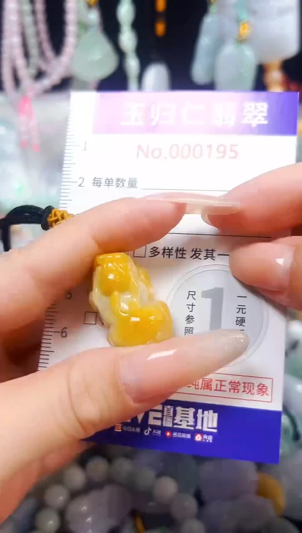 颈饰未镶嵌翡翠025