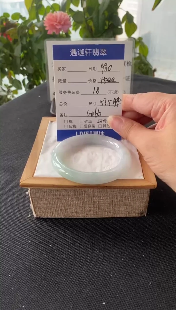 未镶嵌手镯翡翠53.5圈口 G166编码