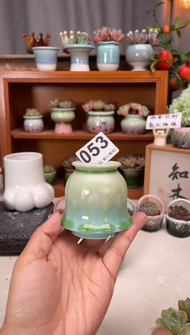 瓷片053小芳直播编号