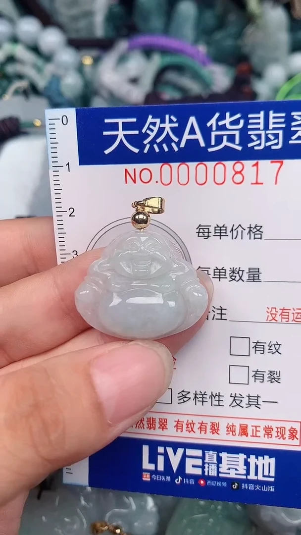 翡翠未镶嵌颈饰...0000817