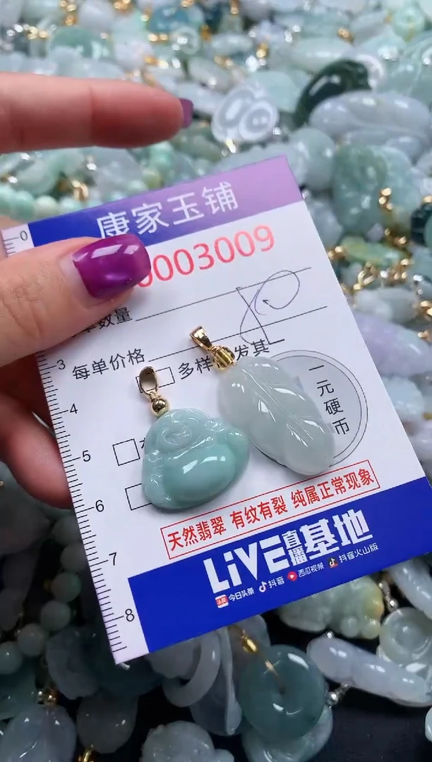 颈饰未镶嵌翡翠3009