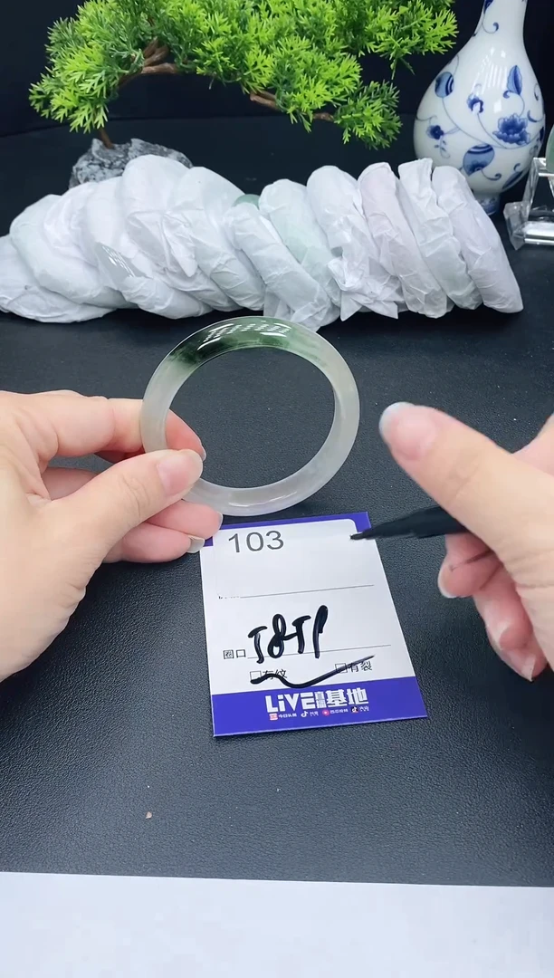 未镶嵌手镯翡翠103