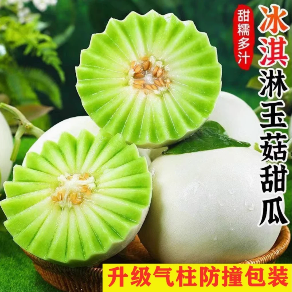 山东头茬玉菇甜瓜冰淇淋口感新鲜水果当季现摘香瓜软糯香甜好吃
