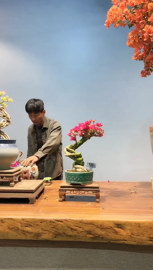 【闪购商品】AA933