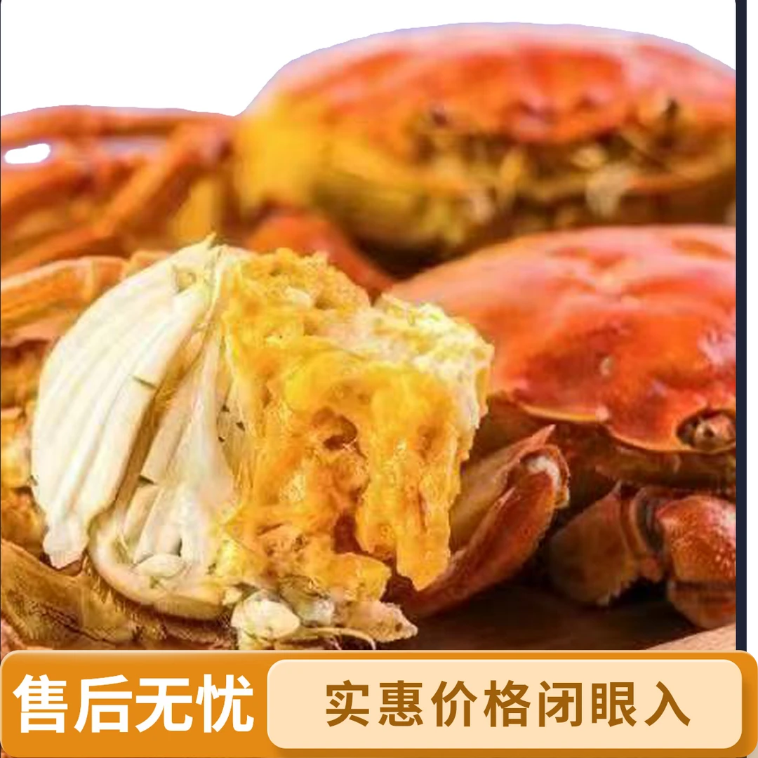 【活蟹】渔蟹乐洪泽湖大闸蟹全母蟹2.4-2.7两8只+2只到手10只顺丰/EMS包邮